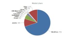 A pie chart on the market share of CMS - Nov 2016